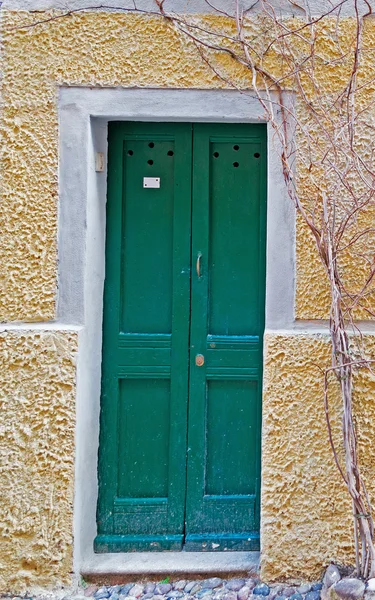 Puerta verde — Foto de Stock