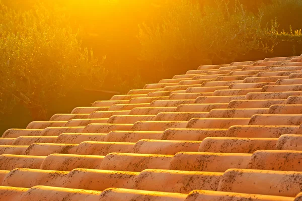 Dach bei Sonnenuntergang — Stockfoto