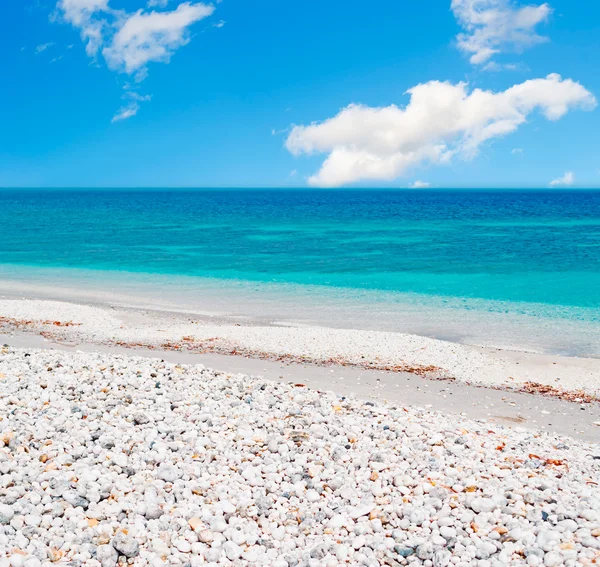 Witte kiezels door de zee — Stockfoto