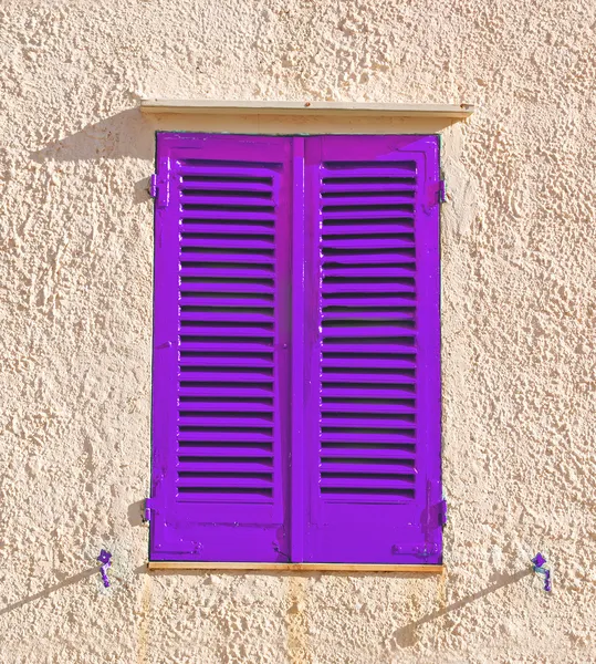 Purple shutters — Stock Photo, Image