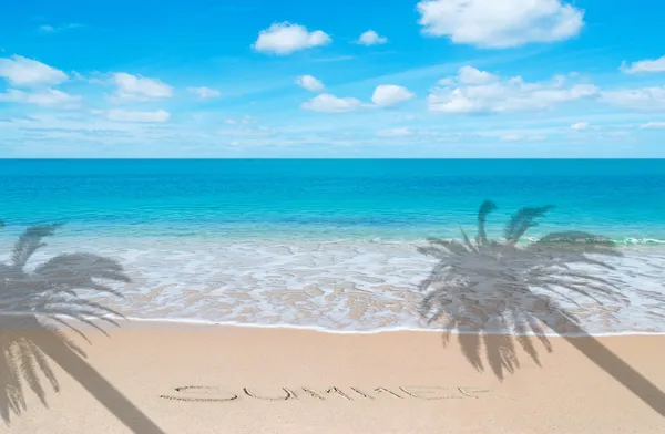 Verano en el paraíso con palmera — Foto de Stock