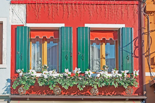 Weiße Blüten — Stockfoto