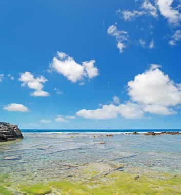 üzerinde mavi gökyüzü arutas olduğunu