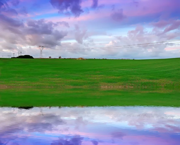 Reflexão no campo — Fotografia de Stock