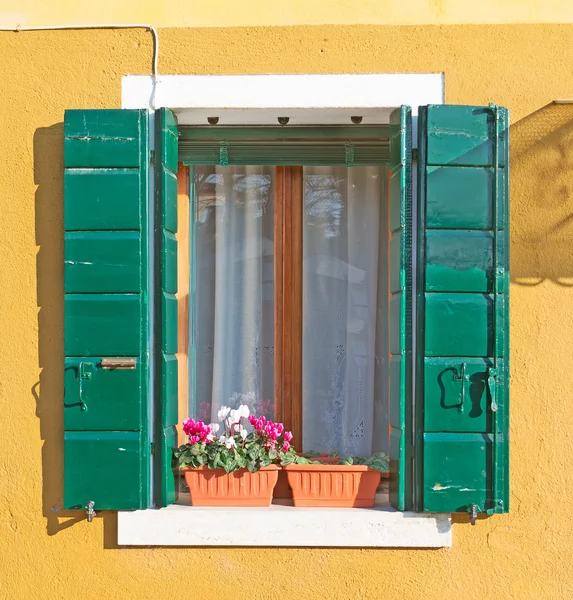 Grün auf gelb — Stockfoto