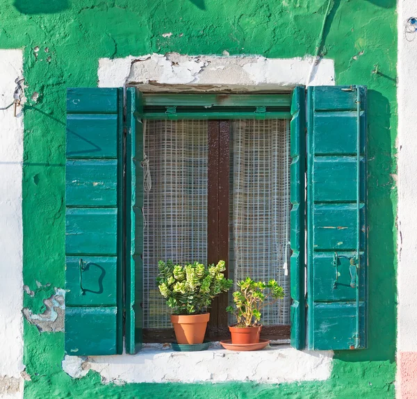 Grünes Fenster — Stockfoto