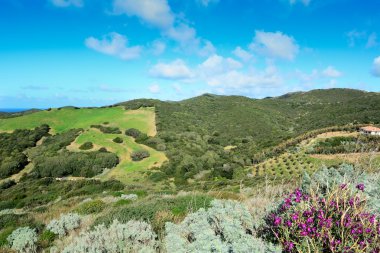 bulutlar tepelerin üstünde