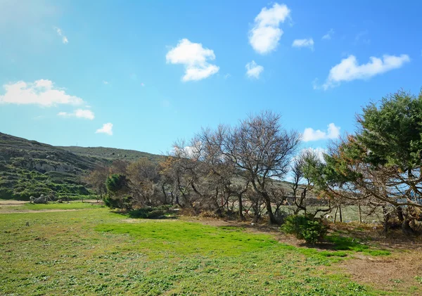 Clouds and meadow — Stock Photo, Image