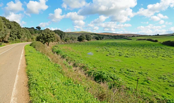 County road edge — Stock Photo, Image