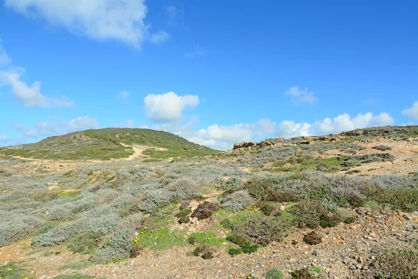 Yeşil tepe — Stok fotoğraf