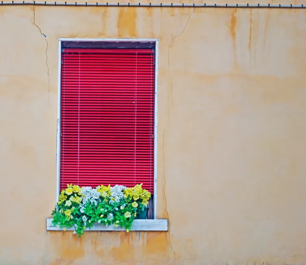 Röda fönster — Stockfoto