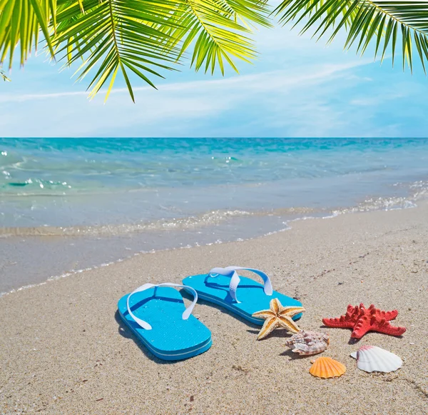 Palm and flip flops — Stock Photo, Image