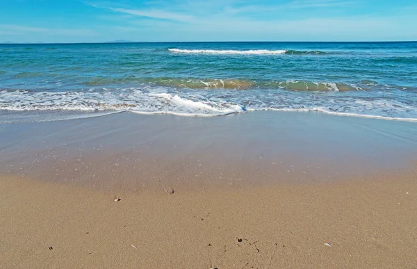砂浜海岸 — ストック写真