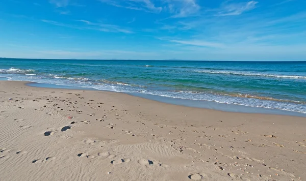 Sardinian winter — Stock Photo, Image