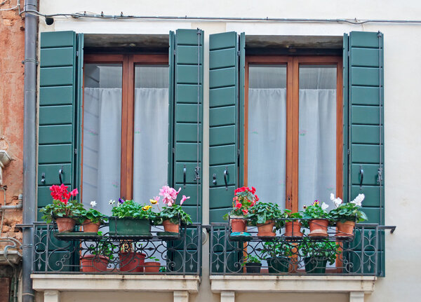 Windows with green shutters ans flowers on the sill
