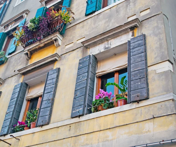 Janelas venezianas — Fotografia de Stock