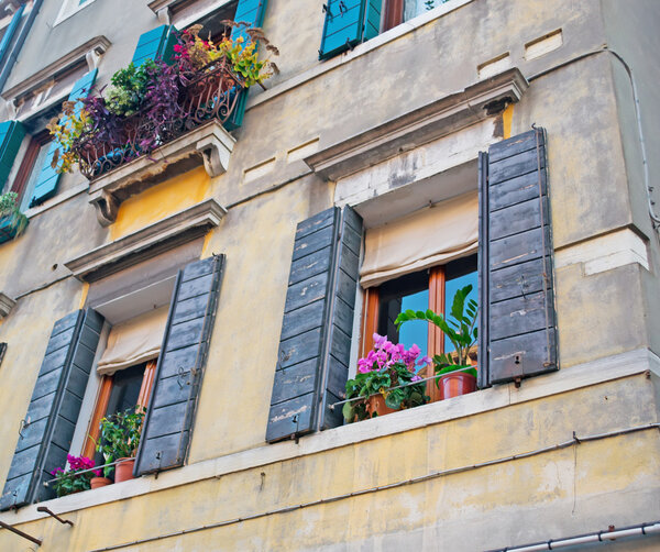 Old windows with flowers on the sill