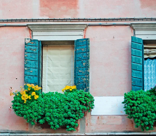 Ventanas y flores — Foto de Stock