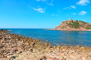 kahverengi porticciolo kayalarda