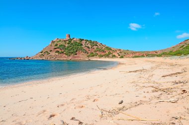 kum üzerinde kuru dalları