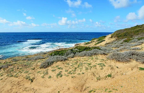 Sarı shore ve kaba deniz — Stok fotoğraf