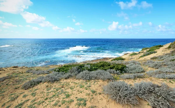 Bushes and clouds — Stock Photo, Image