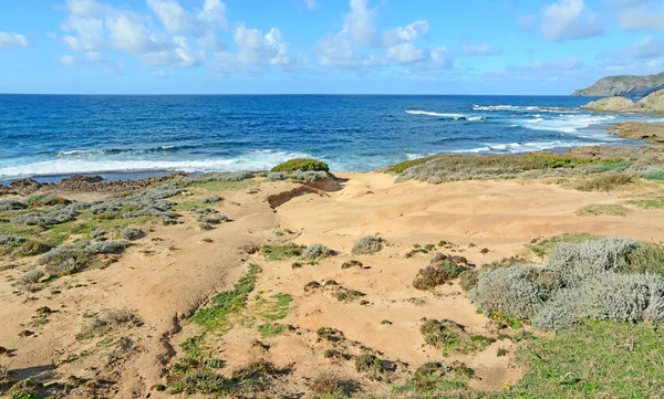 Struiken en zand in argentiera — Stockfoto