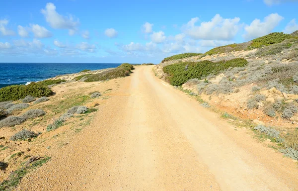 Onverharde weg aan de kust — Stockfoto