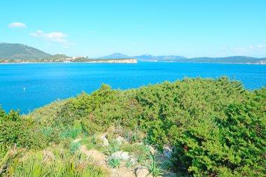 yeşil ve mavi shore