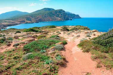 yeşil, kırmızı ve mavi