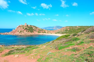 kırmızı, yeşil ve mavi