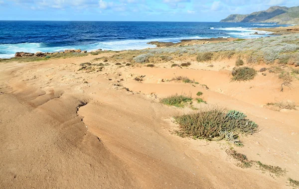 Gouden zand en ruwe zee — Stockfoto