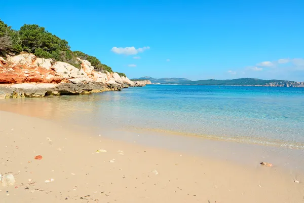 Spiaggia dorata e cielo blu — Foto Stock