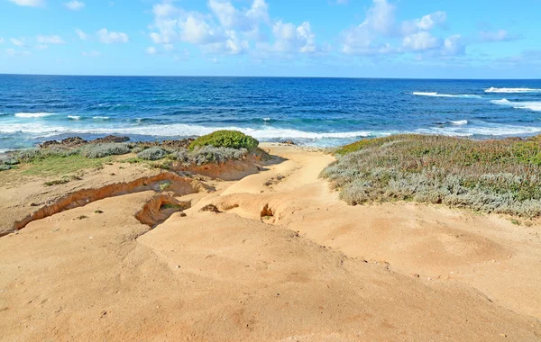 Gyllene stranden i Argentiera — Stockfoto