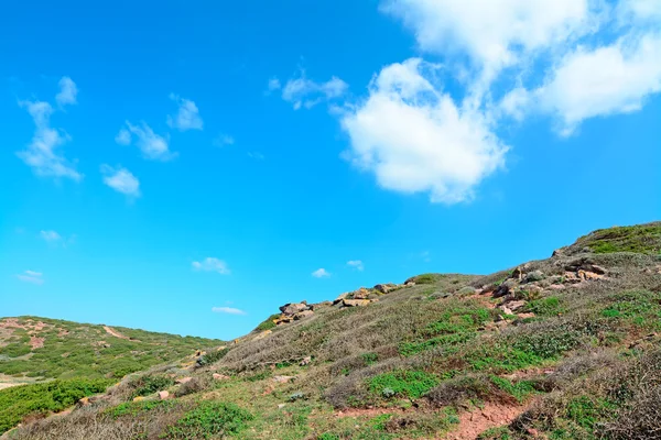 Colina verde e céu azul — Fotografia de Stock