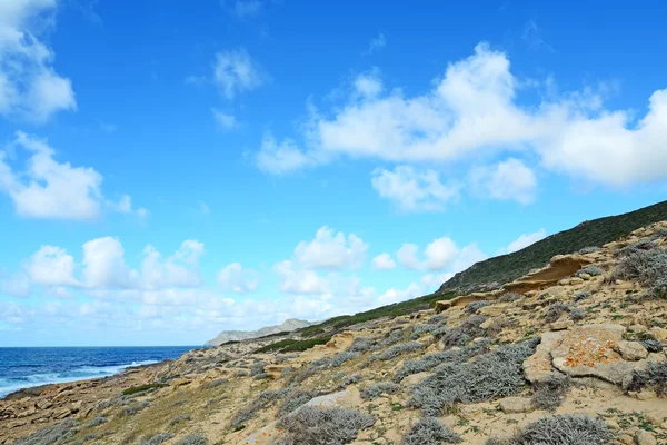 Collina verde in riva al mare — Foto Stock