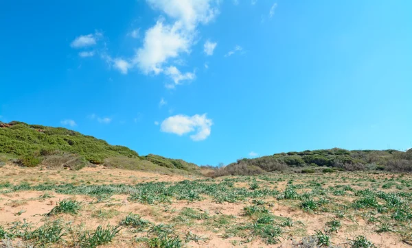 Porticciolo hill — Stock Photo, Image