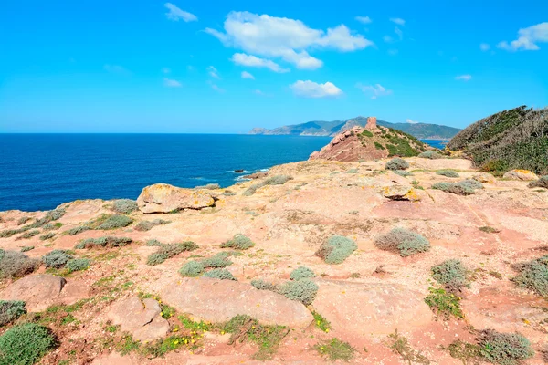 Kırmızı kayalar ve mavi deniz — Stok fotoğraf
