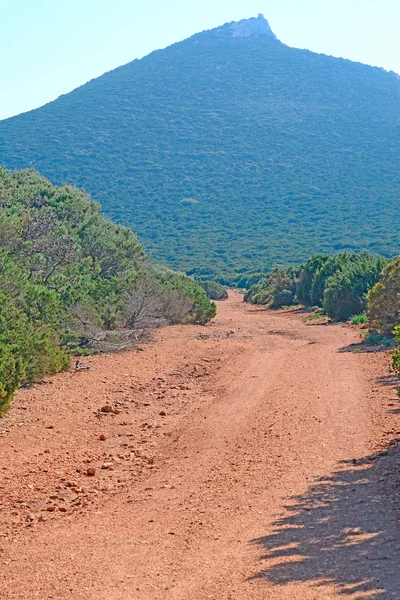 Camino y colina — Foto de Stock