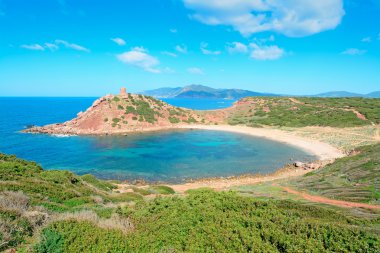 beyaz bulutlar ve yeşil bitkiler