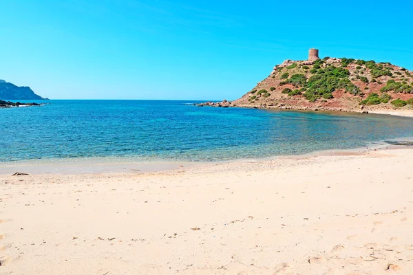 Sandy kıyı kule tarafından