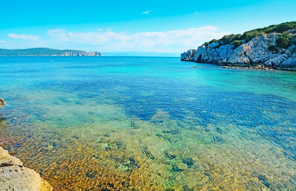 Сардинская вода — стоковое фото