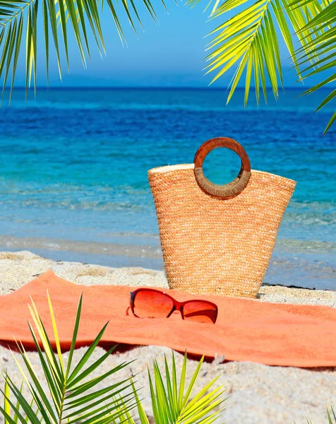 Bag, towel and palm — Stock Photo, Image