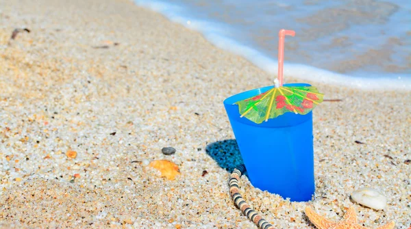 Zeesterren en drinken — Stockfoto