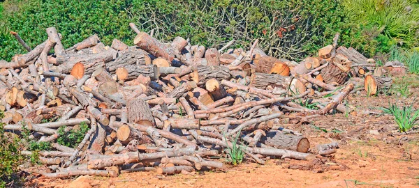 Pilha de tronco no parque — Fotografia de Stock