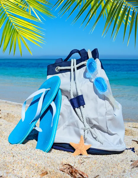 Summer bag and palm — Stock Photo, Image