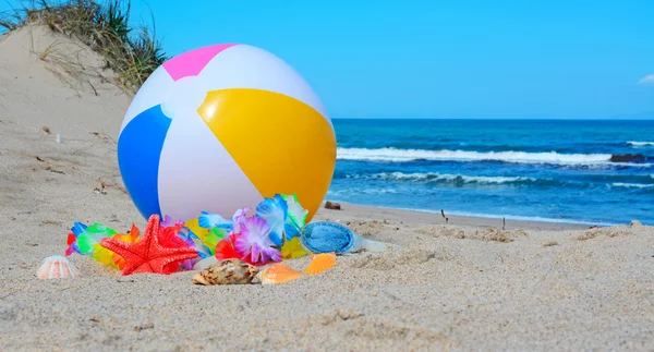 Pelota de playa y conchas — Foto de Stock