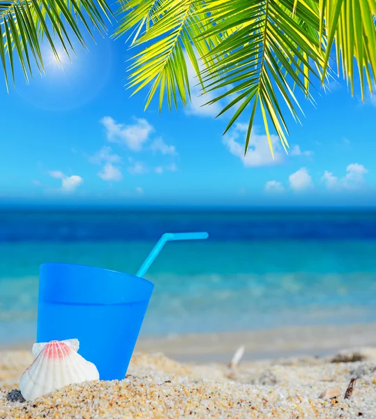 Dricka, palm och solen — Stockfoto