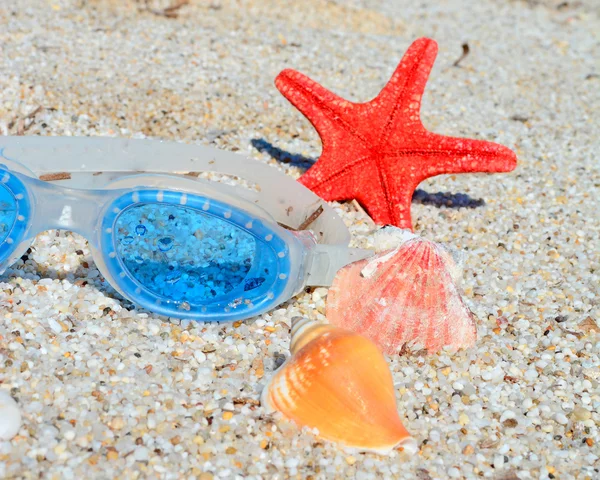 Conchas marinas y gafas — Foto de Stock