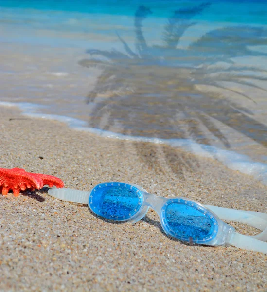 Lunettes et étoiles de mer — Photo